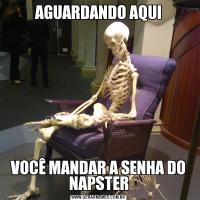 AGUARDANDO AQUIVOCÊ MANDAR A SENHA DO NAPSTER