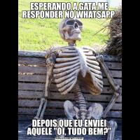 ESPERANDO A GATA ME RESPONDER NO WHATSAPP DEPOIS QUE EU ENVIEI AQUELE "OI, TUDO BEM?"