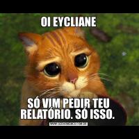 OI EYCLIANESÓ VIM PEDIR TEU RELATÓRIO. SÓ ISSO. 
