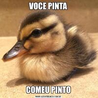 VOCE PINTACOMEU PINTO