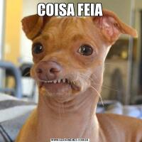 COISA FEIA