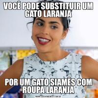 VOCÊ PODE SUBSTITUIR UM GATO LARANJAPOR UM GATO SIAMÊS COM ROUPA LARANJA