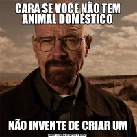 CARA SE VOCE NÃO TEM ANIMAL DOMÉSTICONÃO INVENTE DE CRIAR UM