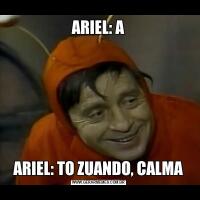ARIEL: AARIEL: TO ZUANDO, CALMA