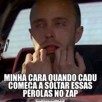 MINHA CARA QUANDO CADU COMEÇA A SOLTAR ESSAS PÉROLAS NO ZAP