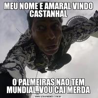 MEU NOME E AMARAL VINDO CASTANHALO PALMEIRAS NAO TEM MUNDIAL,,VOU CAI MERDA