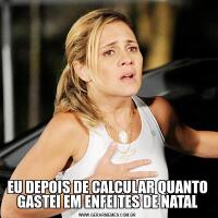 EU DEPOIS DE CALCULAR QUANTO GASTEI EM ENFEITES DE NATAL