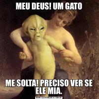 MEU DEUS! UM GATOME SOLTA! PRECISO VER SE ELE MIA.