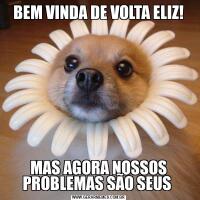 BEM VINDA DE VOLTA ELIZ!MAS AGORA NOSSOS PROBLEMAS SÃO SEUS 