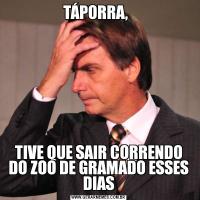 TÁPORRA,  TIVE QUE SAIR CORRENDO DO ZOO DE GRAMADO ESSES DIAS