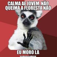 CALMA AE JOVEM, NÃO QUEIMA A FLORESTA NÃOEU MORO LÁ