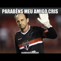 PARABÉNS MEU AMIGO CRIS