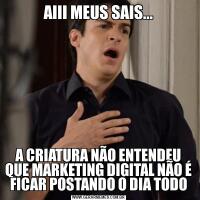 AIII MEUS SAIS...A CRIATURA NÃO ENTENDEU QUE MARKETING DIGITAL NÃO É FICAR POSTANDO O DIA TODO