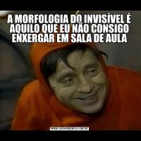 A MORFOLOGIA DO INVISÍVEL É AQUILO QUE EU NÃO CONSIGO ENXERGAR EM SALA DE AULA