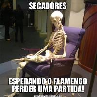 SECADORESESPERANDO O FLAMENGO PERDER UMA PARTIDA!