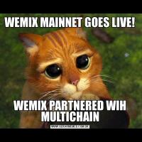 WEMIX MAINNET GOES LIVE!WEMIX PARTNERED WIH MULTICHAIN
