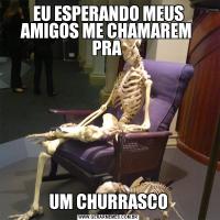 EU ESPERANDO MEUS AMIGOS ME CHAMAREM  PRA UM CHURRASCO