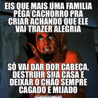 EIS QUE MAIS UMA FAMILIA PEGA CACHORRO PRA CRIAR ACHANDO QUE ELE VAI TRAZER ALEGRIASÓ VAI DAR DOR CABEÇA, DESTRUIR SUA CASA E DEIXAR O CHÃO SEMPRE CAGADO E MIJADO