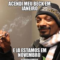 ACENDI MEU BECK EM JANEIROE JÁ ESTAMOS EM NOVEMBRO 