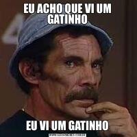 EU ACHO QUE VI UM GATINHOEU VI UM GATINHO