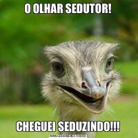 O OLHAR SEDUTOR!CHEGUEI SEDUZINDO!!!
