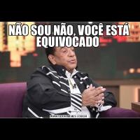 NÃO SOU NÃO, VOCÊ ESTÁ EQUIVOCADO 