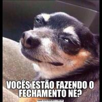 VOCÊS ESTÃO FAZENDO O FECHAMENTO NÉ?