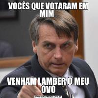 VOCÊS QUE VOTARAM EM MIM  VENHAM LAMBER O MEU OVO