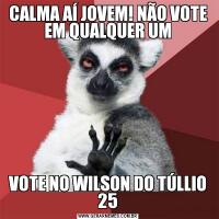 CALMA AÍ JOVEM! NÃO VOTE EM QUALQUER UMVOTE NO WILSON DO TÚLLIO 25