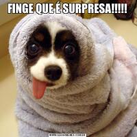 FINGE QUE É SURPRESA!!!!!