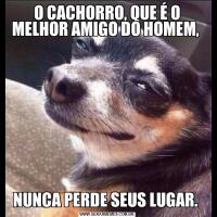 O CACHORRO, QUE É O MELHOR AMIGO DO HOMEM, NUNCA PERDE SEUS LUGAR. 