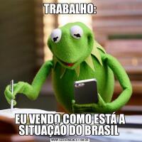 TRABALHO:EU VENDO COMO ESTÁ A SITUAÇÃO DO BRASIL 