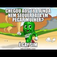CHEGOU AOS 18 E AINDA NEM SEQUER FALA EM PEGAR MULHER?É GAY SIM