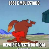 ESSE É MEU ESTADODEPOIS DA FESTA DA CICAL