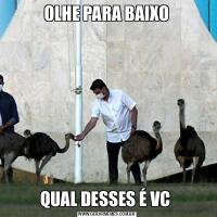 OLHE PARA BAIXOQUAL DESSES É VC 