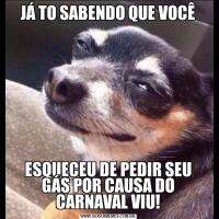 JÁ TO SABENDO QUE VOCÊESQUECEU DE PEDIR SEU GÁS POR CAUSA DO CARNAVAL VIU!