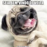 SEJA BEM-VINDO DE VOLTA