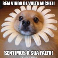 BEM VINDA DE VOLTA MICHELISENTIMOS A SUA FALTA!