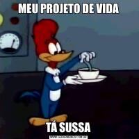 MEU PROJETO DE VIDATÁ SUSSA