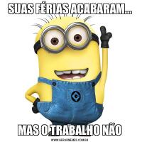 SUAS FÉRIAS ACABARAM...MAS O TRABALHO NÃO