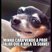 MINHA CARA VENDO A PROF. FALAR QUE A AULA TÁ SUAVE! 