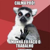 CALMA PRÔ!AMANHÃ EU FAÇO O TRABALHO