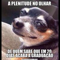 A PLENITUDE NO OLHARDE QUEM SABE QUE EM 20 DIAS ACABA A GRADUAÇÃO