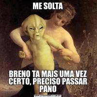 ME SOLTABRENO TA MAIS UMA VEZ CERTO, PRECISO PASSAR PANO