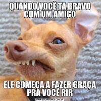 QUANDO VOCÊ TA BRAVO COM UM AMIGOELE COMEÇA A FAZER GRAÇA PRA VOCÊ RIR