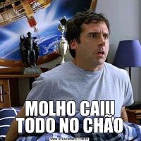 MOLHO CAIU TODO NO CHÃO