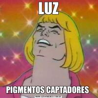 LUZPIGMENTOS CAPTADORES 