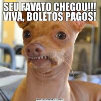 SEU FAVATO CHEGOU!!! VIVA, BOLETOS PAGOS!