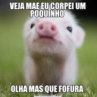VEJA MAE EU CORPEI UM POQUINHO OLHA MAS QUE FOFURA 