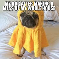 MY DOG ​​AFTER MAKING A MESS OF MY WHOLE HOUSE